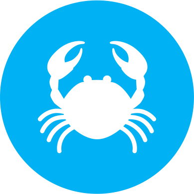 Crustaceos Crustaceos