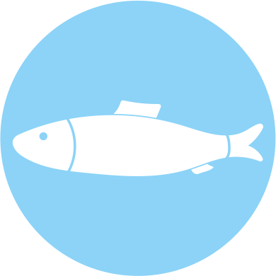 Pescado Pescado