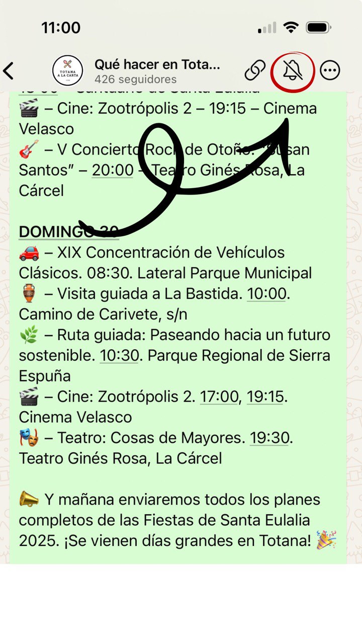 Activar notificaciones en canal de WhatsApp